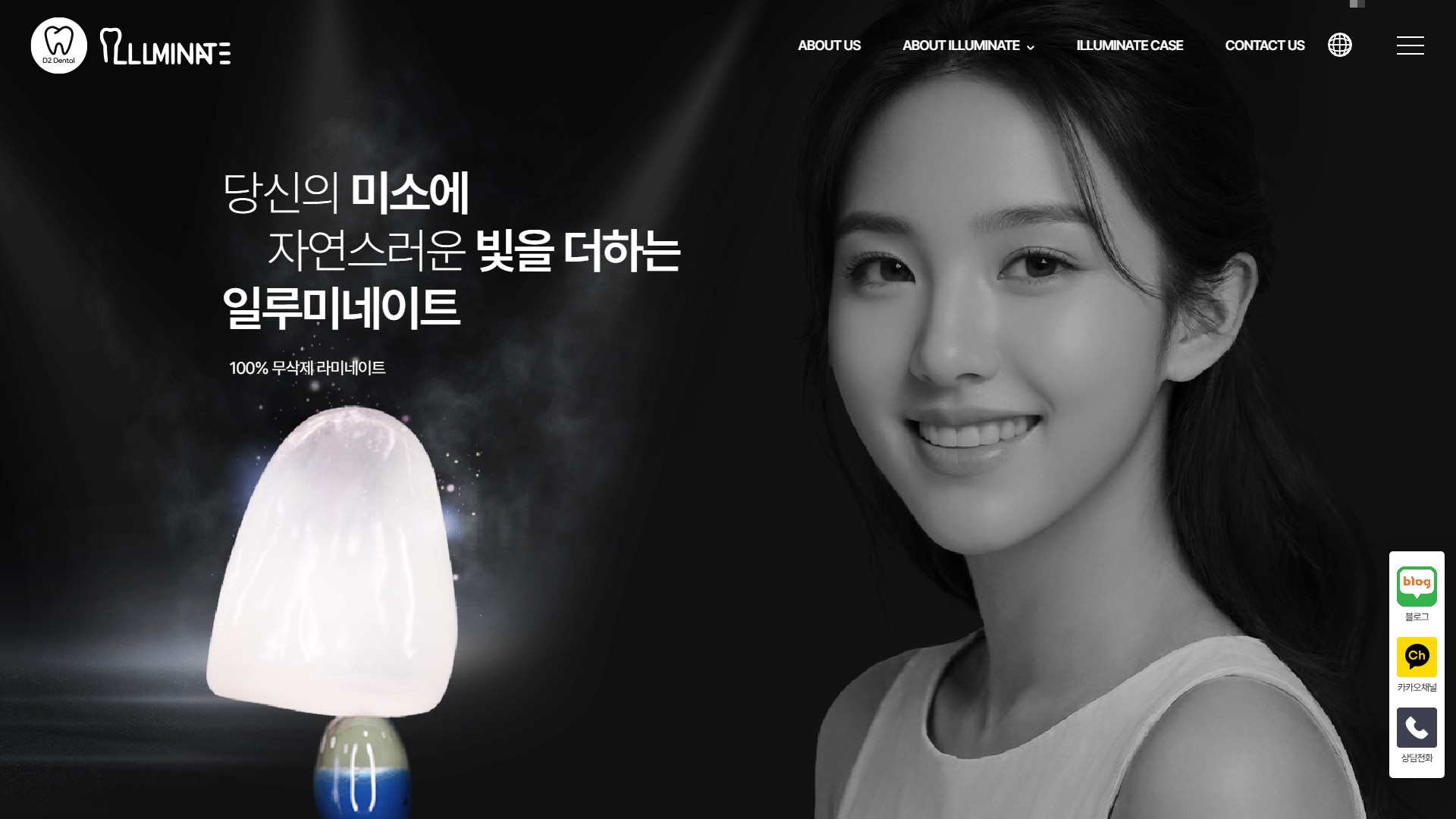 유어데브에서 제작한 (주)디투덴탈 홈페이지 PC 디자인